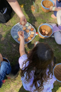 Screenshot 2024-03-02 at 5.58.12 AM