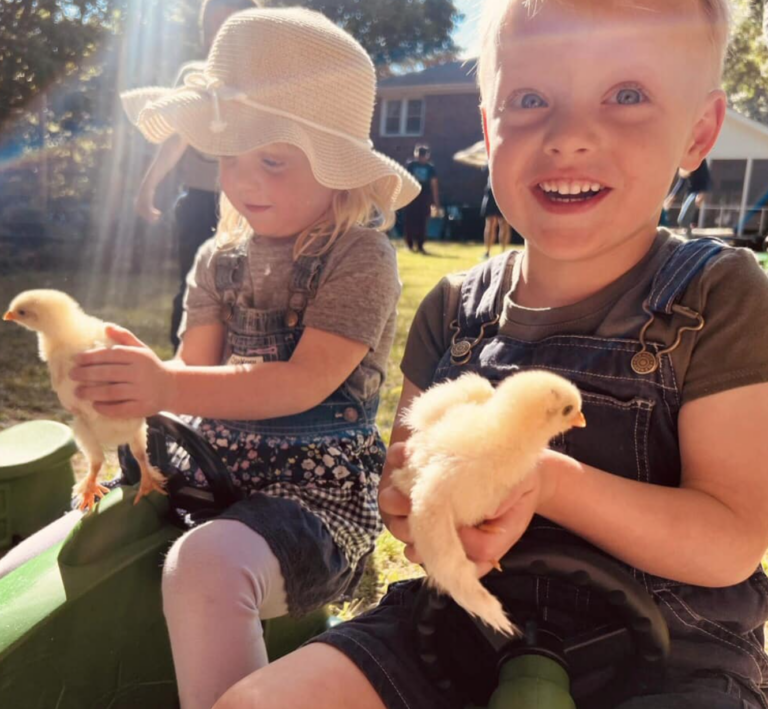 Screenshot 2024-03-02 at 6.01.51 AM