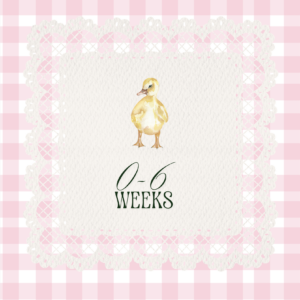 1 Month Old Ducklings | Straight Run