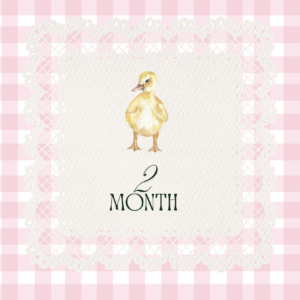 2 Month Old Ducklings | Straight Run